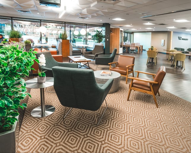 Workuity-Biltmore-cow spotlight